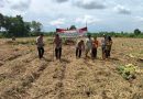 Dukung Program Ketahanan Pangan Polsek Kragilan Tanam Jagung di Lahan Seluas Dua Hektar di Desa Dukuh