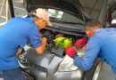 Bikin Panik Pemilik Mobil, Biawak di Perumahan The View Bintaro Berhasil Diamankan Damkar