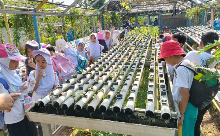 BLK Kota Tangerang Resmi Buka Pendaftaran Pelatihan Hidroponik Gratis