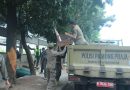 Jaga Fasilitas Umum, Satpol PP Kota Tangerang Tertibkan Lapak PKL di Kebon Nanas