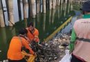 DLH Kota Tangerang Bersihkan Taman Embung Batusari, Jaga Fungsi Ekologis dan Kenyamanan Warga